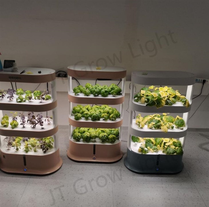 Indoor Garden System