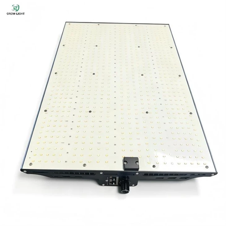 240W Quantum Board Grow Lights factory