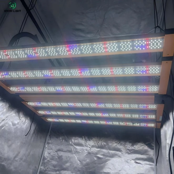 4x4ft Trifold LED Grow Light For Flowering Stage best