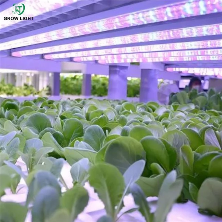LED tube grow lights (2)