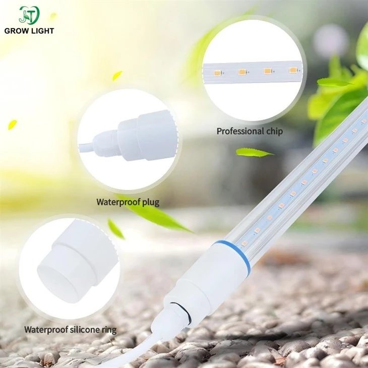 Seedling LED grow light