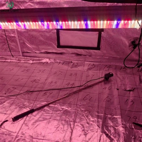 How We Actually Test PPFD on Every LED Grow Light We Make