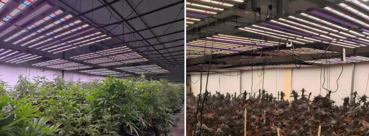 detachable led grow lights (1).jpg
