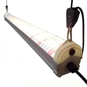 productcate-300-300 productcate-300-300