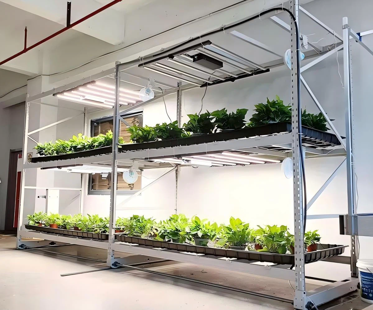 Vertical grow racks.jpg