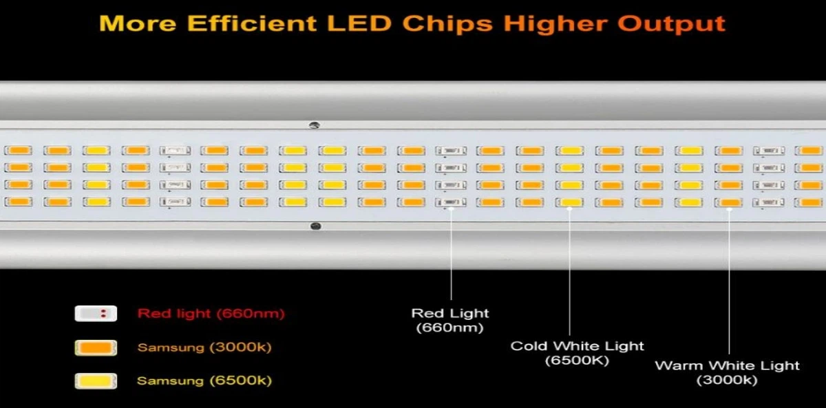 LED chips.jpg