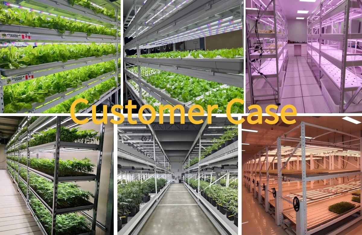 Customer Case.jpg
