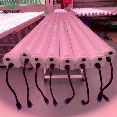 Custom Under Canopy LED Grow Lights in 1.8m & 2.4m — Built To Fit Your Grow Room, Not The Other W...