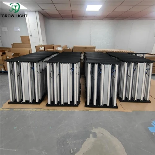 100 Units, One Repeat Customer: Inside Our Latest LED Grow Light Shipment