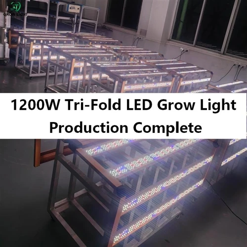 1200W Tri-Fold LED Grow Light Production Complete – First Containers Now Shipping