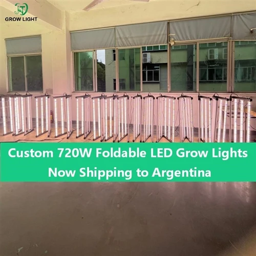 Custom 720W Foldable LED Grow Lights Now Shipping To Argentina