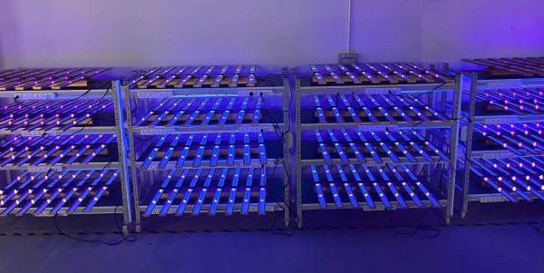 UV spectrum.jpg