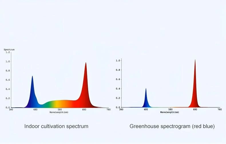 spectrum.jpg spectrum.jpg