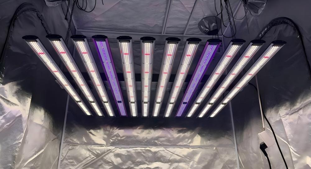 uv ir grow light.jpg uv ir grow light.jpg