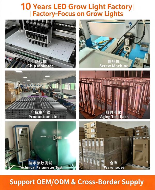 product-600-732 product-600-732