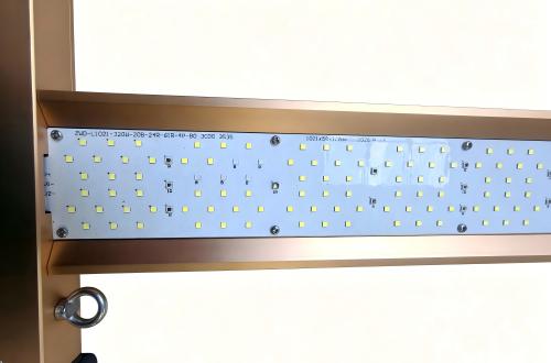 product-500-330 product-500-330