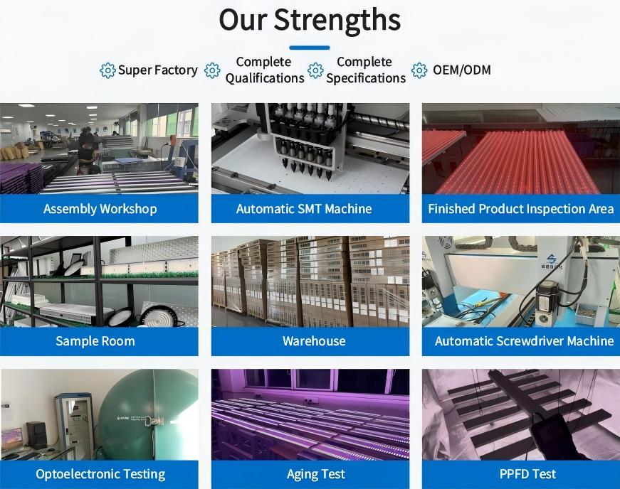 product-871-688 product-871-688
