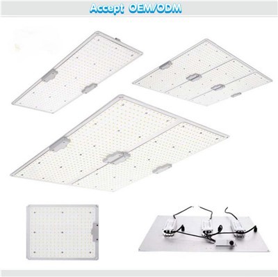 Quantum LED Grow Lights