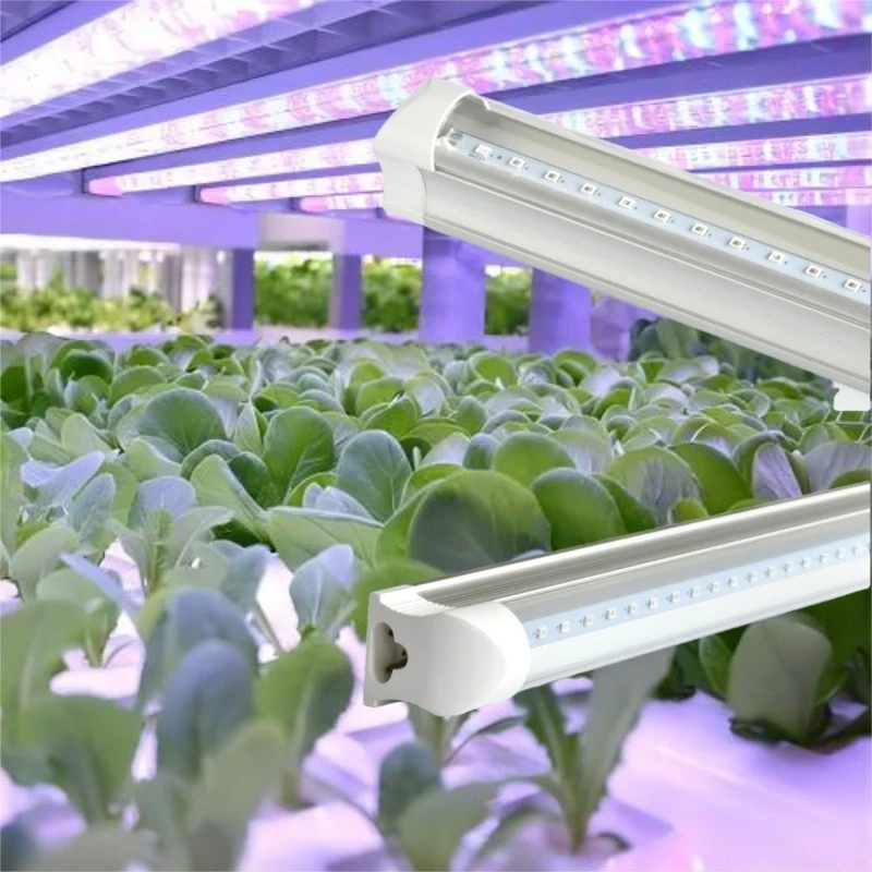 Vertical Grow Lights
